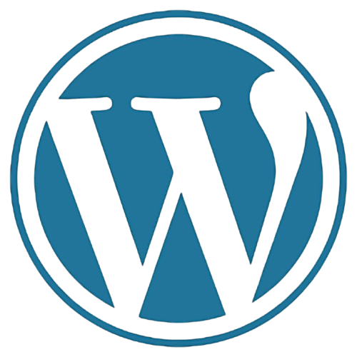 WordPress Website Design in Qatar